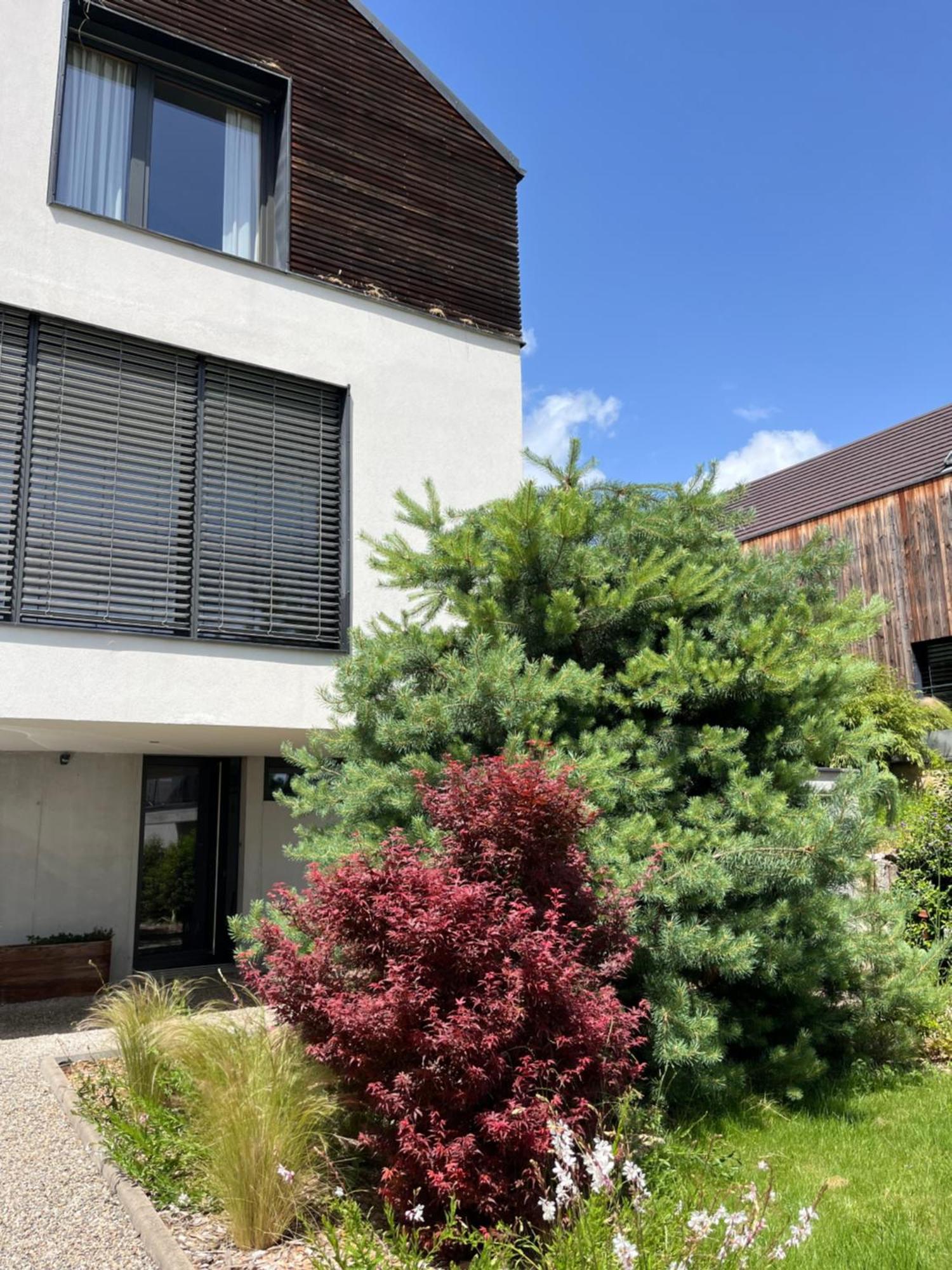 Chambre Double 2 P Luxe Aux Vignes Lovees, Entree Independante Riquewihr Extérieur photo